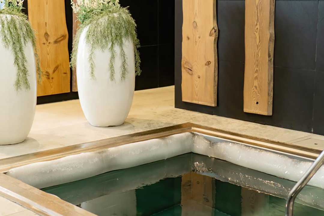 A spa tub with a large plant inside, creating a serene and relaxing atmosphere.