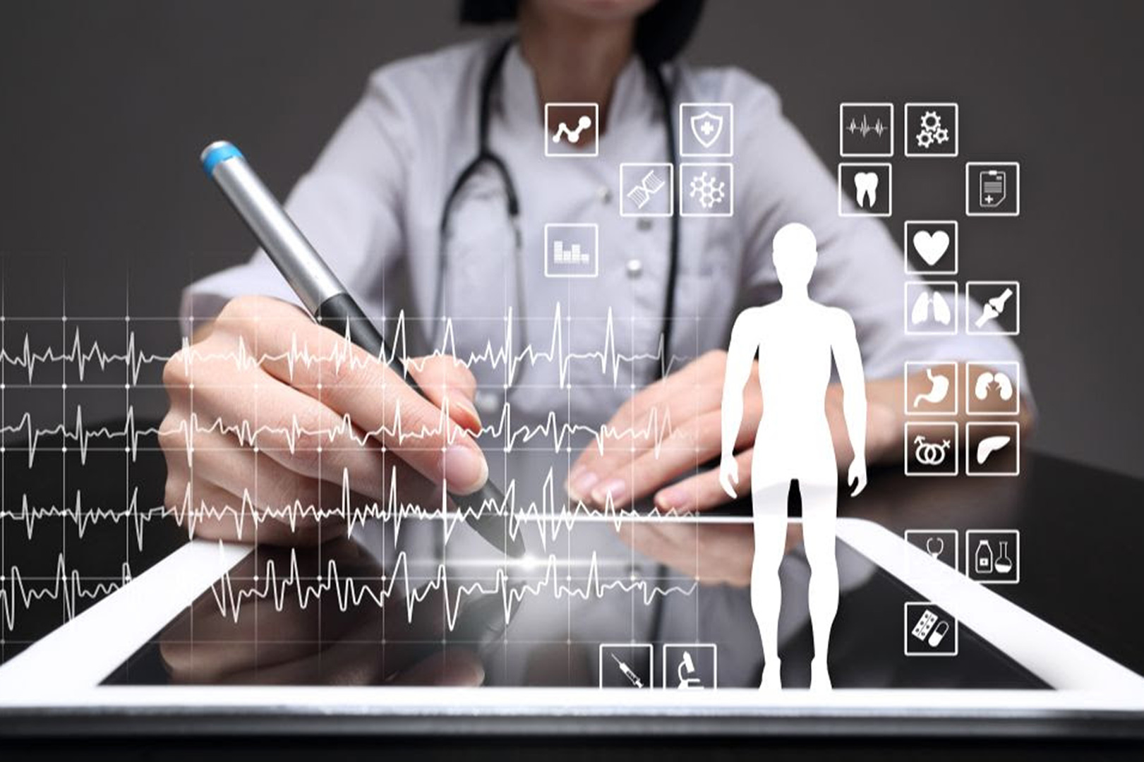 The High Performer's Body Optimization