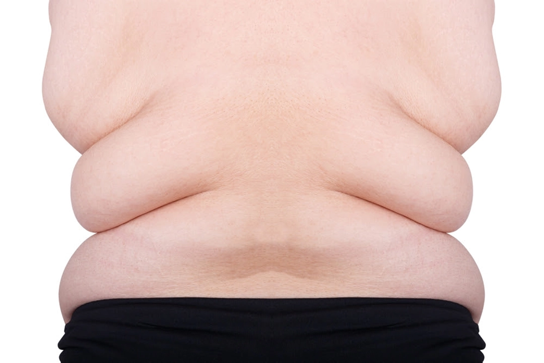 Your Fat Is Not Your Enemy The Science of How Fat Is Made and Burned copy