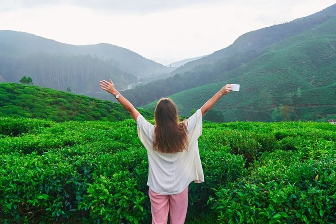 A Perfect Weekend in Topanga What Three Days of Living Right Can Do