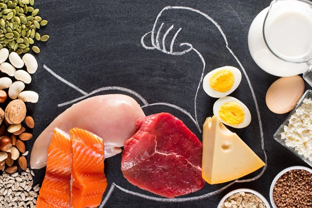 Protein Aging and the Science the New Dietary Guidelines Are Finally Catching Up To